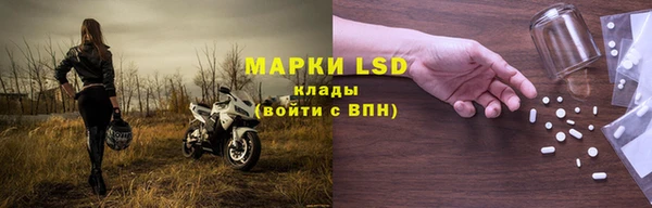 стаф Алексин