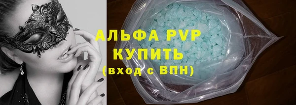 стаф Алексин