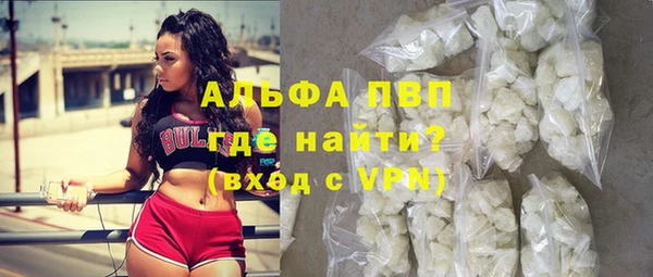 стаф Алексин
