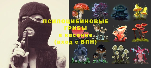 стаф Алексин